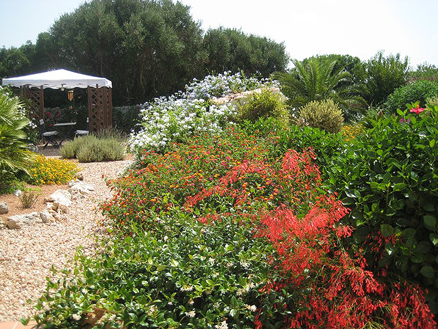 Menorca garden design