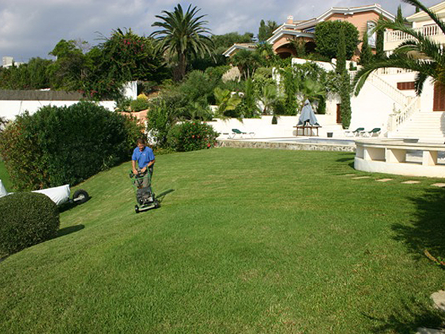 Menorca garden design